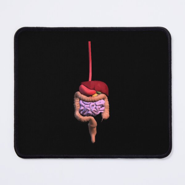 Item preview, Digestive System eco Graphic  designed and sold by engdaeflinn.