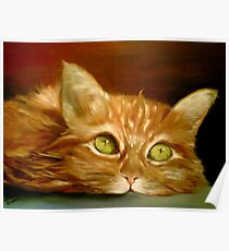 Athos my cat Poster