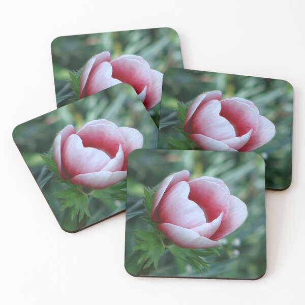Item preview, Anemone de Caen designed and sold by Sharon Perrett.