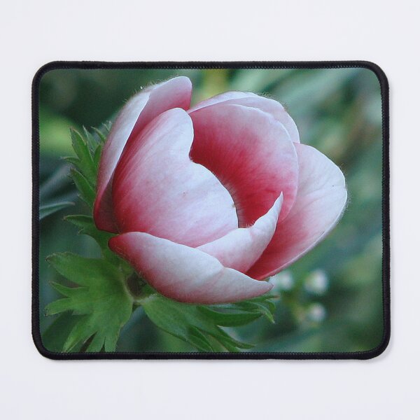 Item preview, Anemone de Caen designed and sold by Sharon Perrett.