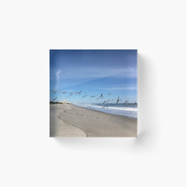 Item preview, SEAGULLS HUTCHISON ISLAND designed and sold by BridgetBresser.