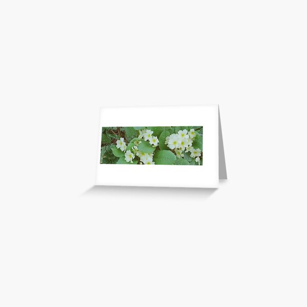 www.lizgarnett.com - valley - apr 05 Greeting Card