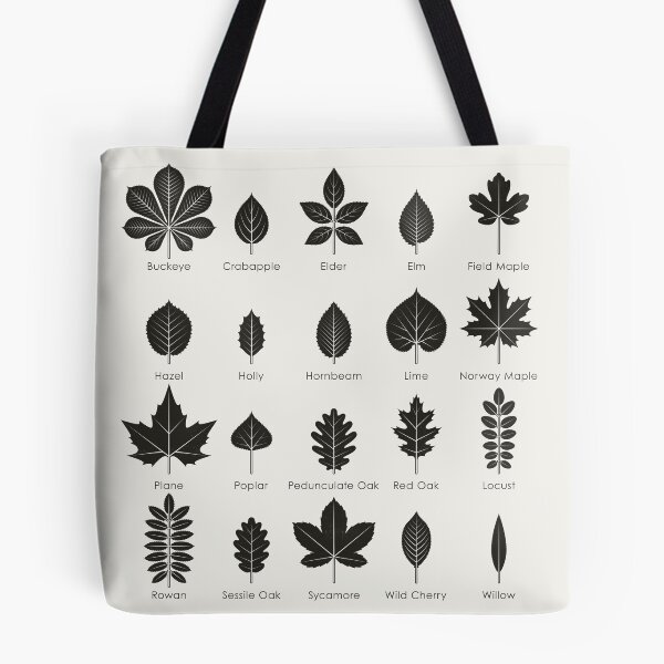 Item preview, Tree Leaves or Leaf Shapes Identification ID Chart designed and sold by Iris Luckhaus.