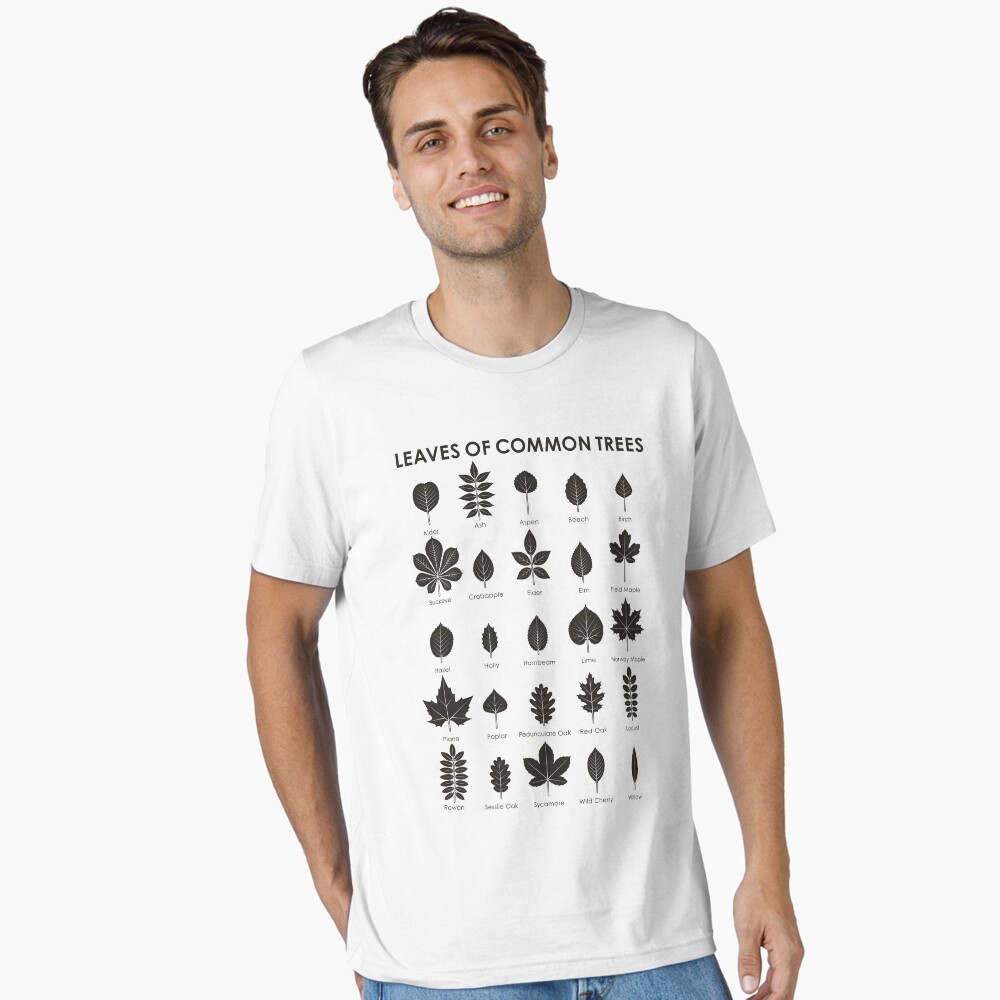 Tree Leaves or Leaf Shapes Identification ID Chart Poster