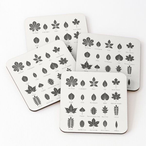 Item preview, Tree Leaves or Leaf Shapes Identification ID Chart designed and sold by Iris Luckhaus.