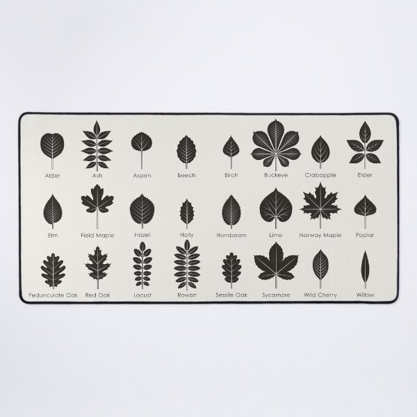 Item preview, Tree Leaves or Leaf Shapes Identification ID Chart designed and sold by Iris Luckhaus.