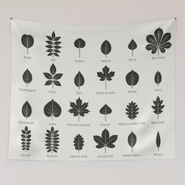 Item preview, Tree Leaves or Leaf Shapes Identification ID Chart designed and sold by Iris Luckhaus.