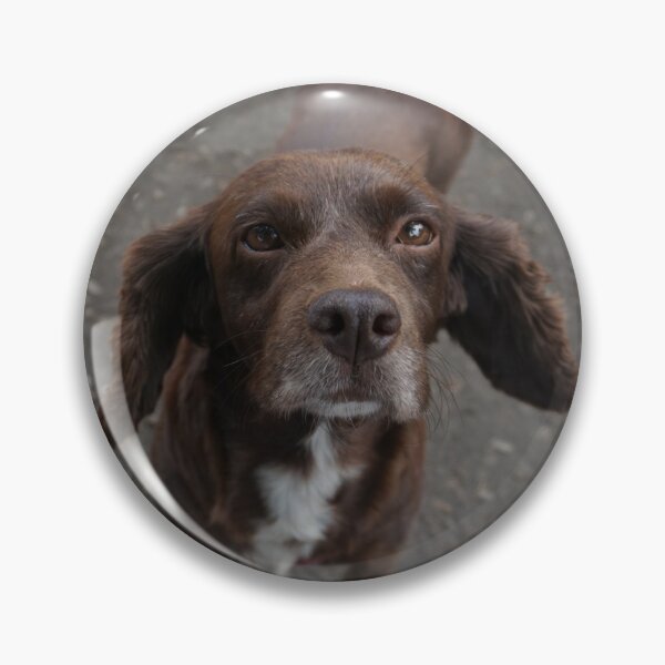 Item preview, Canine Friends designed and sold by Nicole Gath.