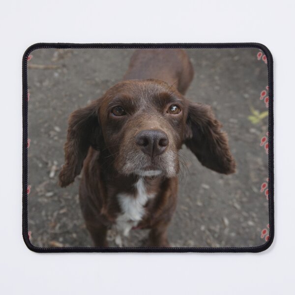 Item preview, Canine Friends designed and sold by Nicole Gath.