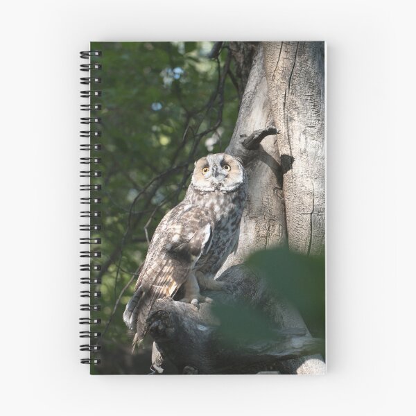 Item preview, Life in a tree designed and sold by Greg Birkett.