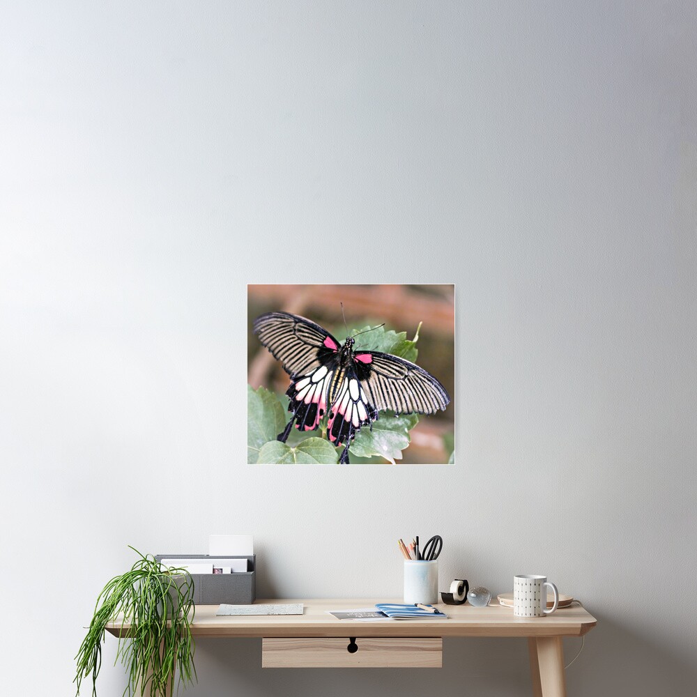Item preview, Poster designed and sold by ScenicViewPics.