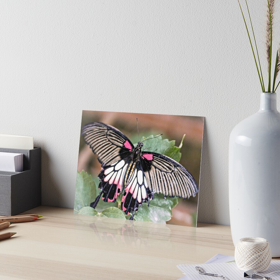 Item preview, Art Board Print designed and sold by ScenicViewPics.