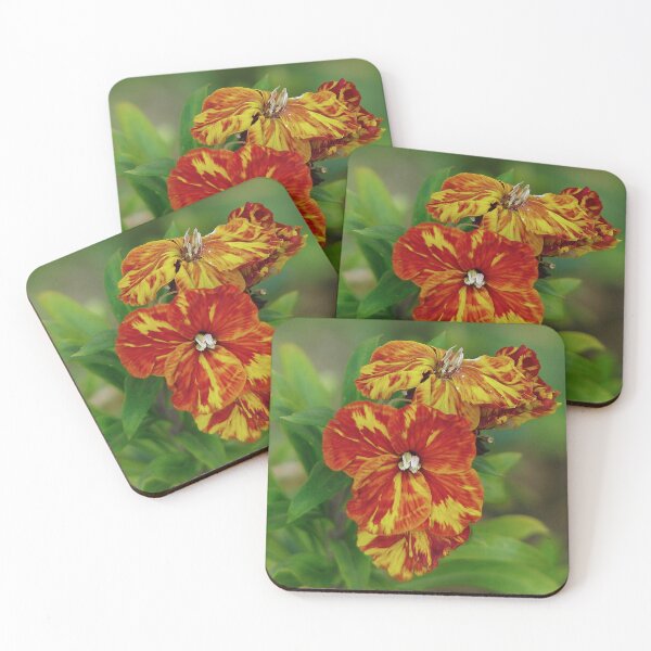 Item preview, A Wallflower designed and sold by Sharon Perrett.