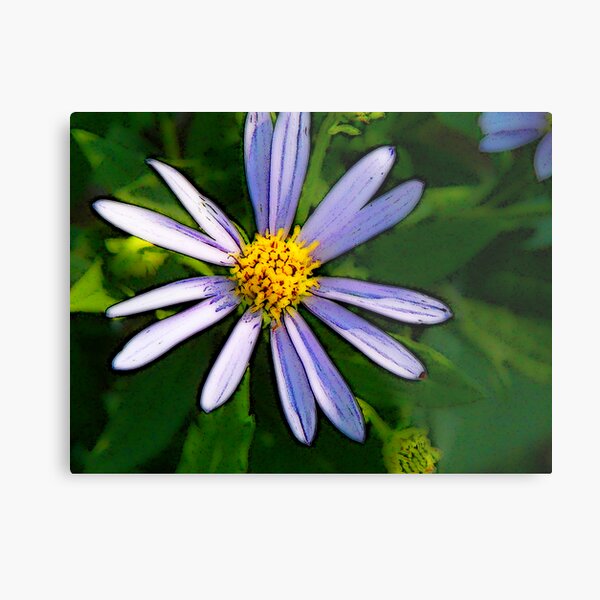Beauty.... Metal Print