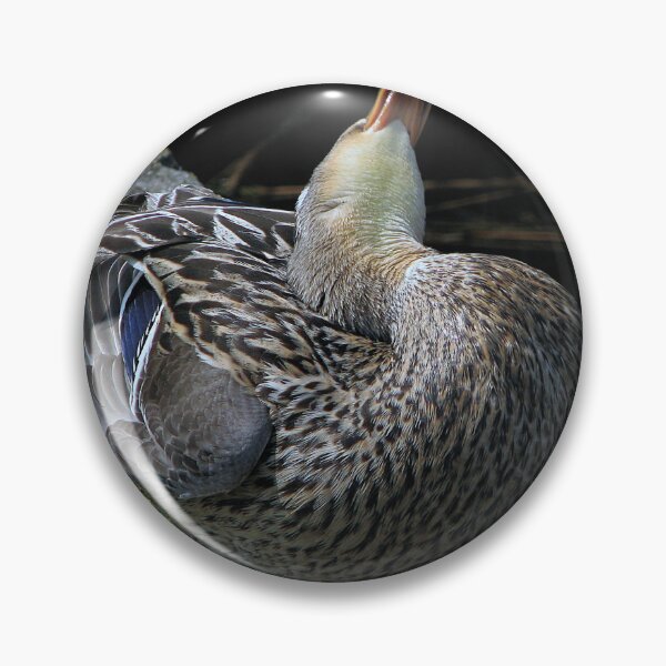 Item preview, That duck that was just on..........hes cute designed and sold by Sharon Perrett.