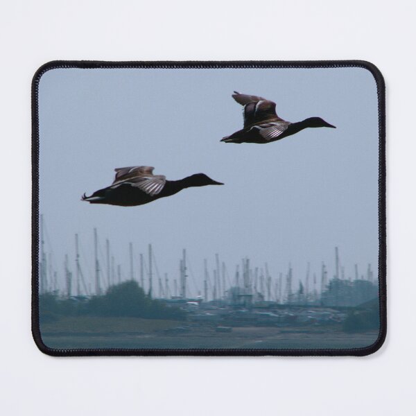 Item preview, See I told you, we are as good as the Red Arrows. designed and sold by Sharon Perrett.