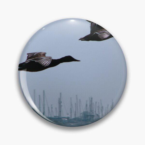 Item preview, See I told you, we are as good as the Red Arrows. designed and sold by Sharon Perrett.