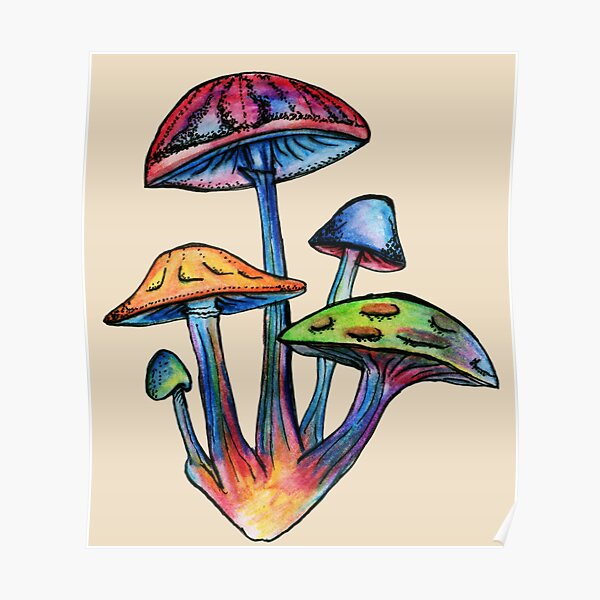 Cluster of Colored Shrooms Poster