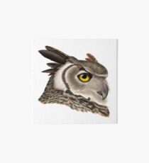 Great Horned Owl Art Board
