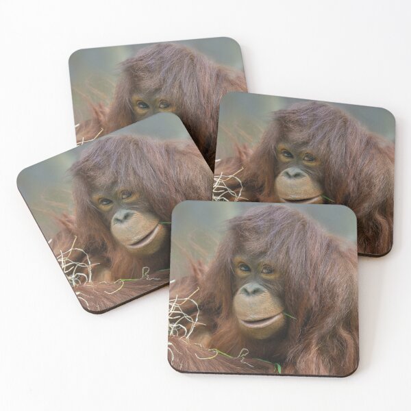 Item preview, Playful Young Orangutan designed and sold by rawshutterbug.