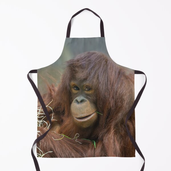 Item preview, Playful Young Orangutan designed and sold by rawshutterbug.