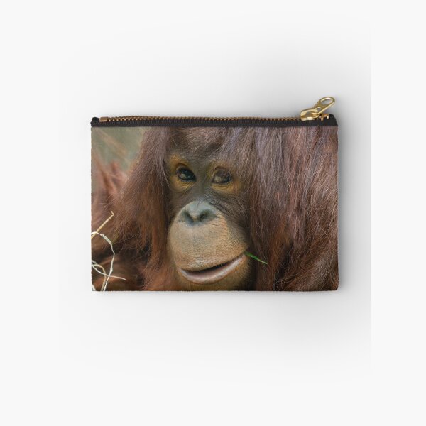 Item preview, Playful Young Orangutan designed and sold by rawshutterbug.