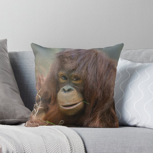 Item preview, Playful Young Orangutan designed and sold by rawshutterbug.