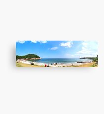 Black Brook Cove Metal Print