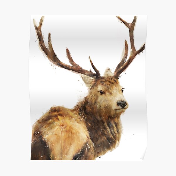 Winter Red Deer Poster