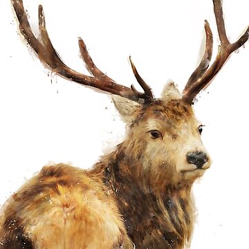 Artwork thumbnail, Winter Red Deer by AmyHamilton