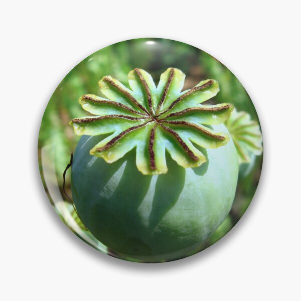Item preview, Poppy designed and sold by Sharon Perrett.