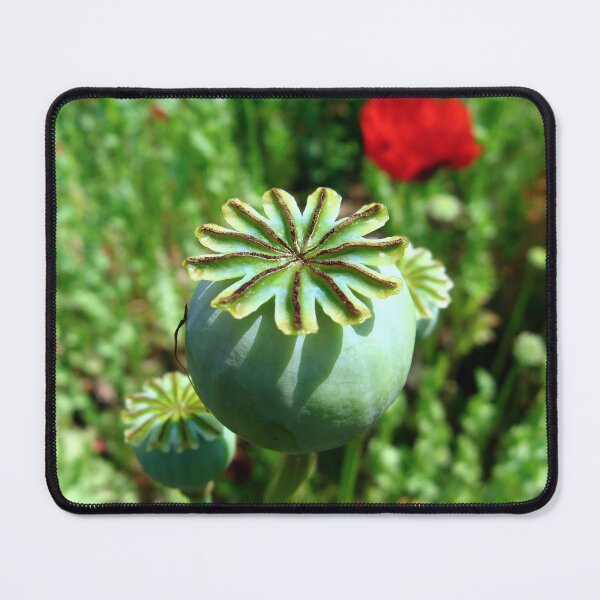 Item preview, Poppy designed and sold by Sharon Perrett.