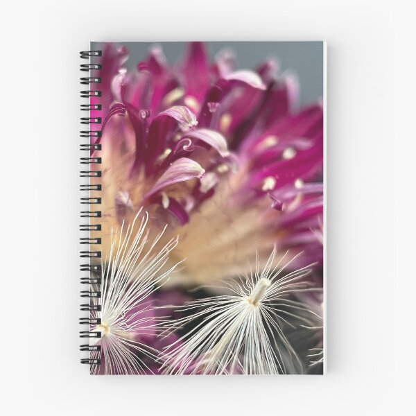 Item preview, Gerberas designed and sold by CiaoBellaJenny.