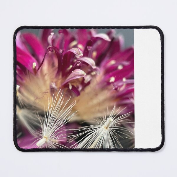 Item preview, Gerberas designed and sold by CiaoBellaJenny.