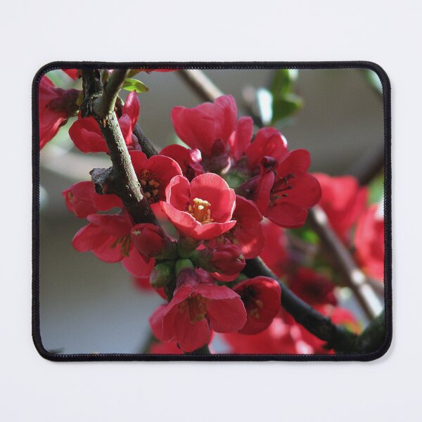 Item preview, Beautifully Red designed and sold by Sharon Perrett.