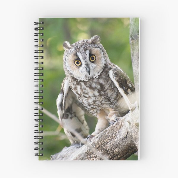 Item preview, I See You! designed and sold by Greg Birkett.