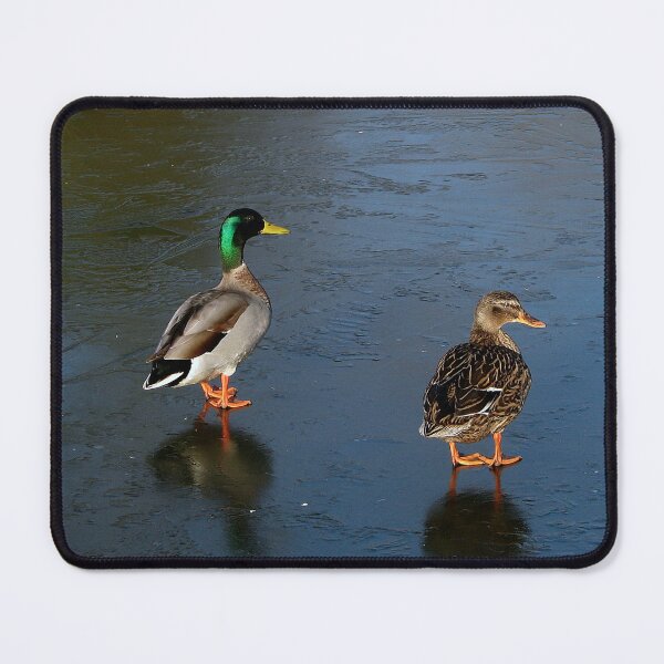 Item preview, Two contestants for Dancing on Ice designed and sold by Sharon Perrett.