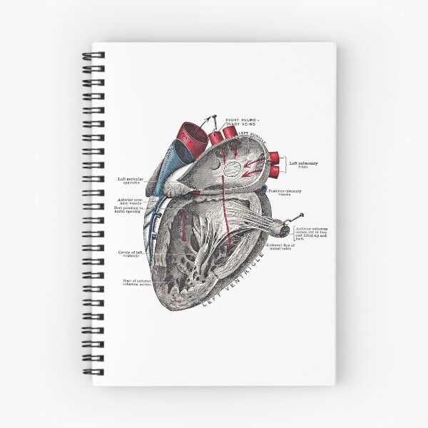 Item preview, Vintage Anatomical Heart designed and sold by mappendant.