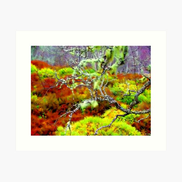 Item preview, Mossy designed and sold by Ken Simm.
