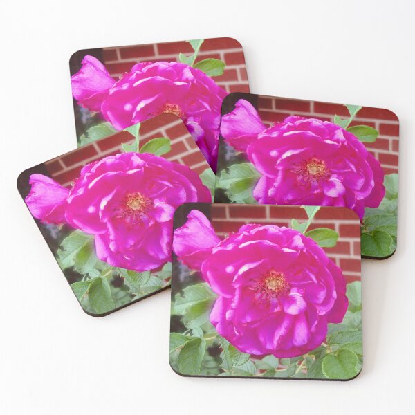 Item preview, Pretty pink rose designed and sold by Shulie1.