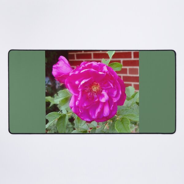 Item preview, Pretty pink rose designed and sold by Shulie1.