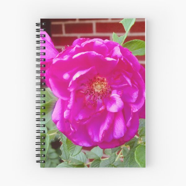 Item preview, Pretty pink rose designed and sold by Shulie1.