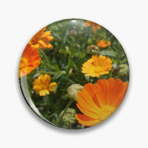 Artikelvorschau, Calendula-Blumen entworfen und verkauft von Floral-Art.