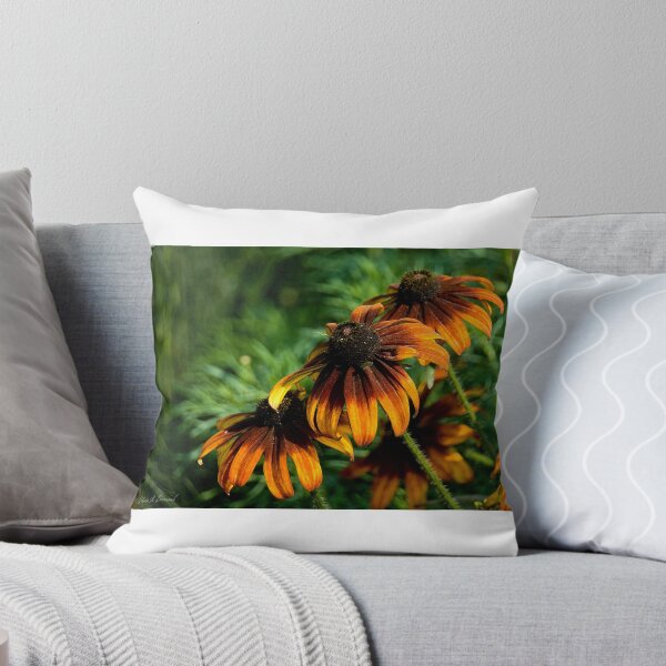 Artikelvorschau, Coneflowers entworfen und verkauft von Maria A. Barnowl.