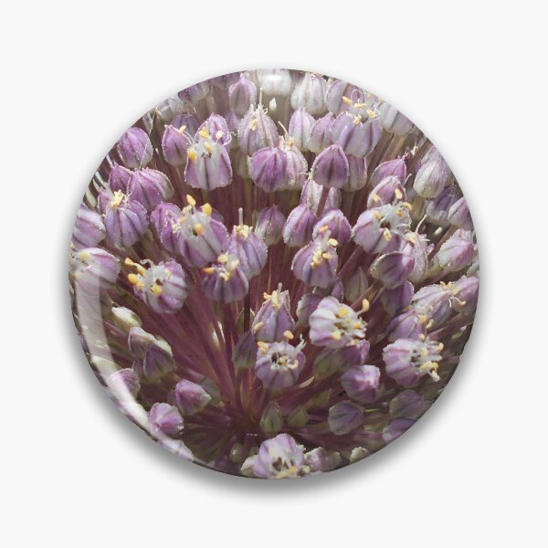 Item preview, Allium (Flowering Onion) designed and sold by Floral-Art.
