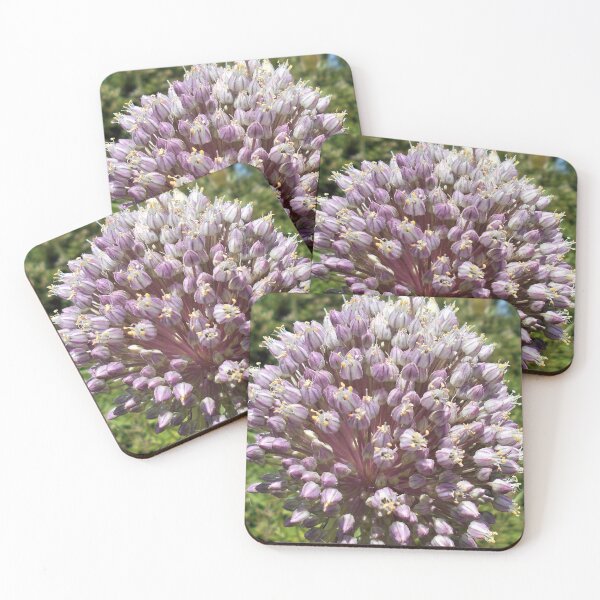 Item preview, Allium (Flowering Onion) designed and sold by Floral-Art.