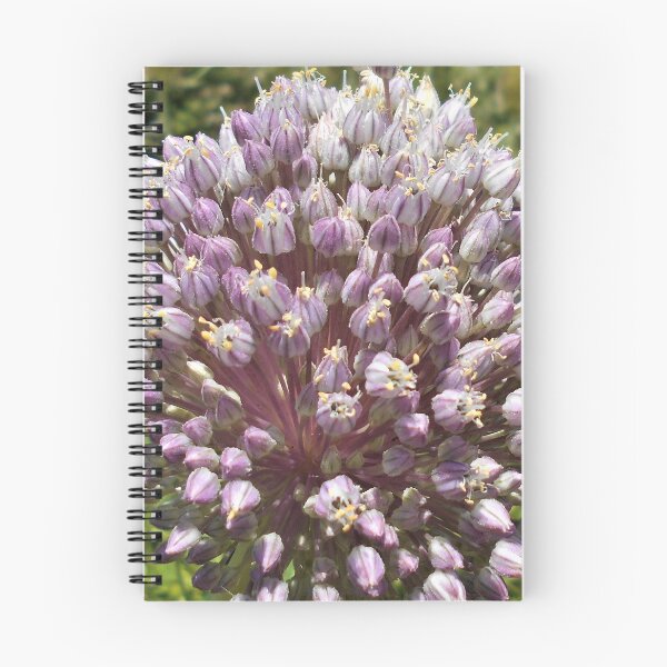 Item preview, Allium (Flowering Onion) designed and sold by Floral-Art.