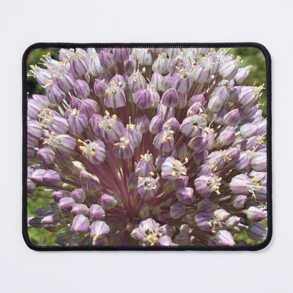Item preview, Allium (Flowering Onion) designed and sold by Floral-Art.