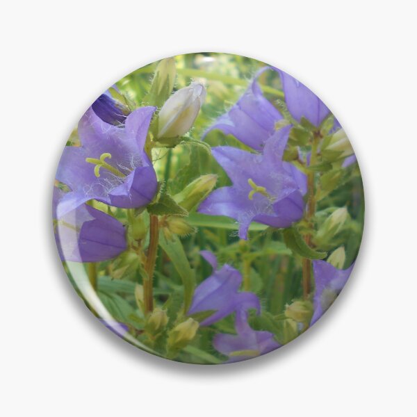 Item preview, Campanula trachelium Bellflower designed and sold by Floral-Art.