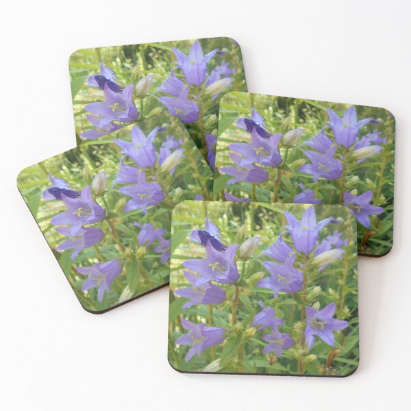 Item preview, Campanula trachelium Bellflower designed and sold by Floral-Art.